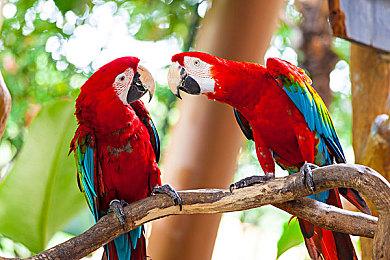 《流放之路：降临》举行速通大赛 第一名10万元